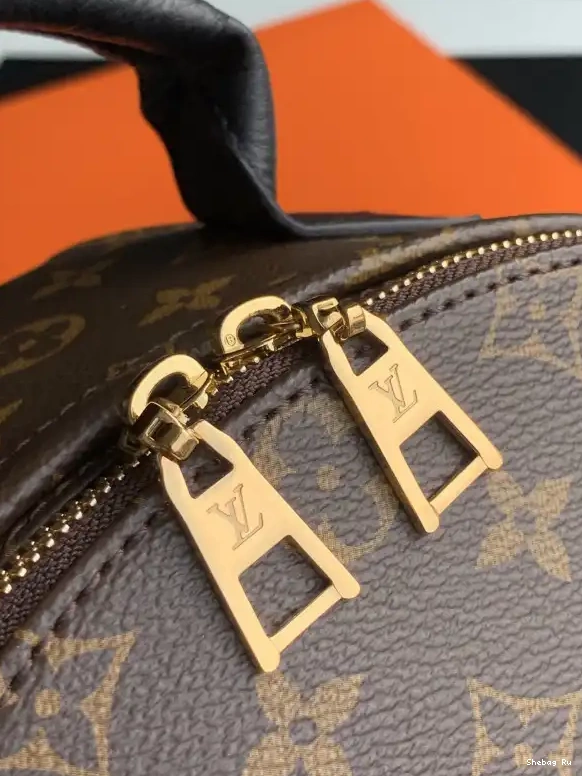 VUITTON PALM EDITION LOUIS NEW PM SPRINGS 0530